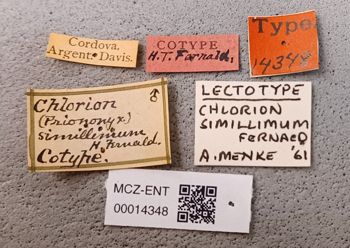 Media type: image;   Entomology 14348 Aspect: labels
